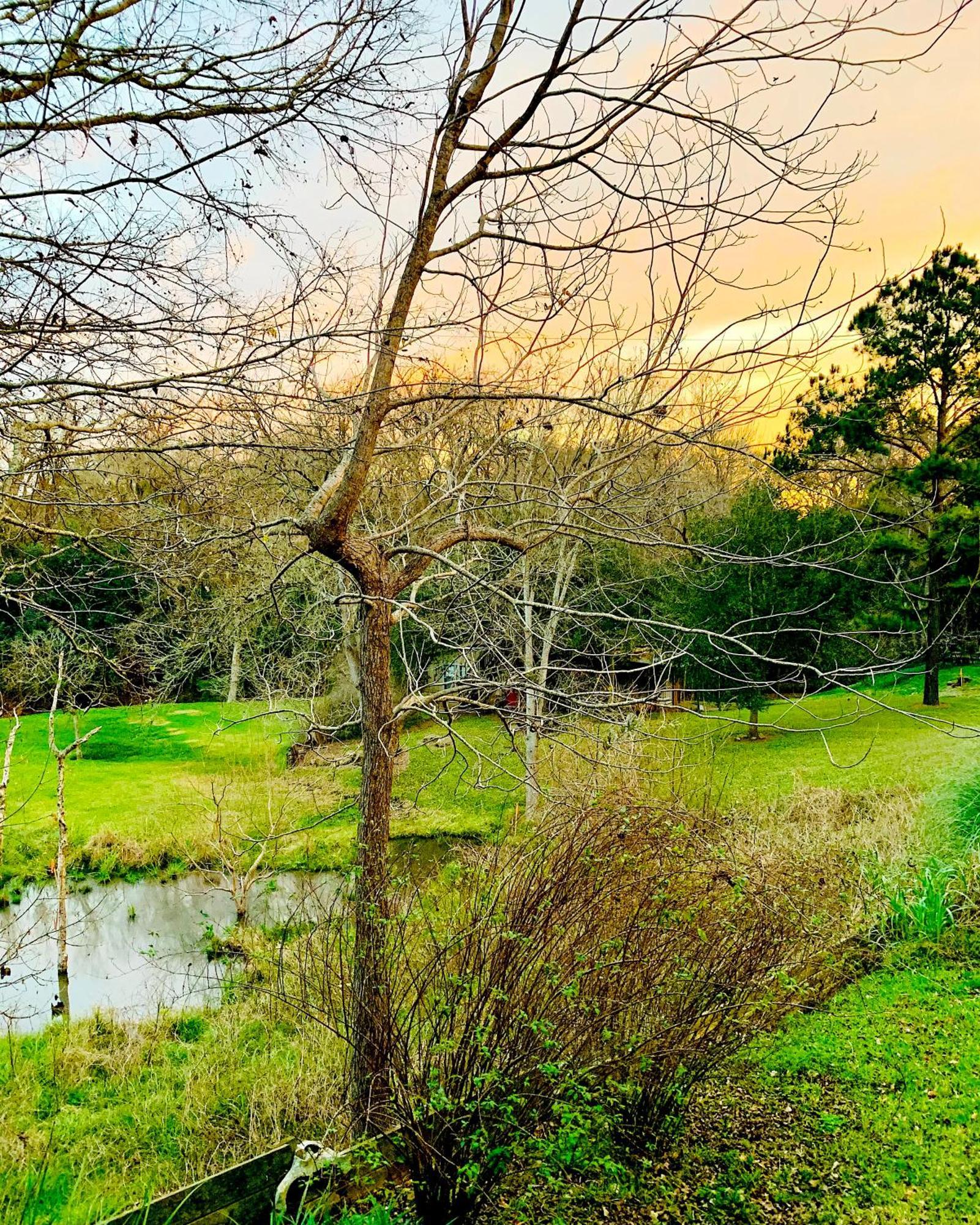 Circa 1900 - Historic - Romantic - Private - Pond - Fenced Yard - The Cottage At Chappell Hill Kültér fotó